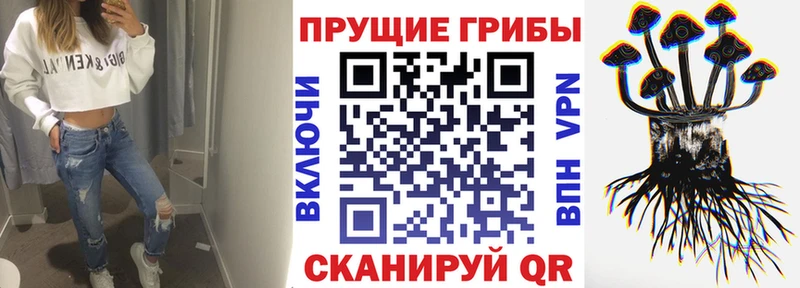 Купить закладки  Отрадный  Псилоцибиновые грибы мицелий 